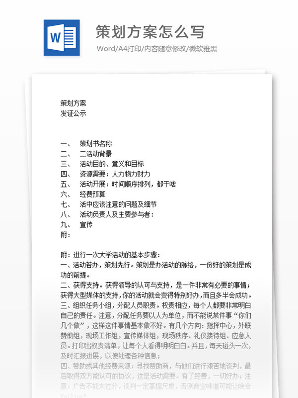 策劃方案怎么寫