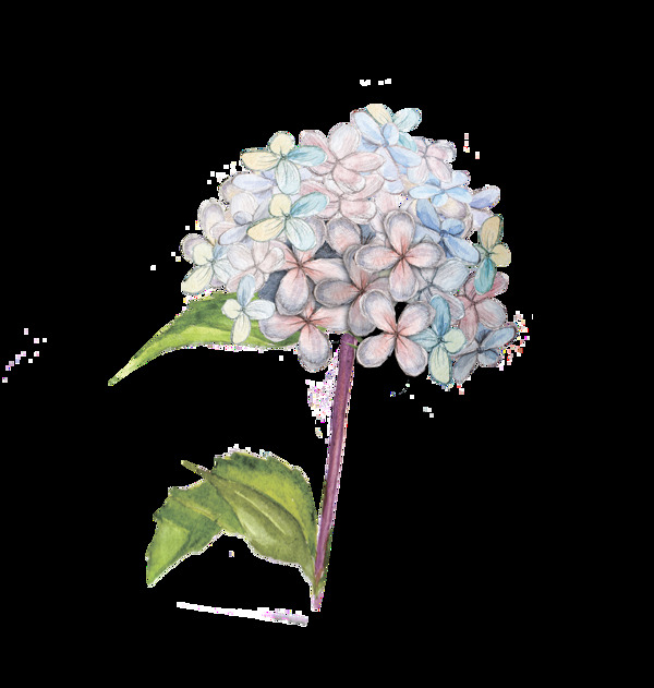 糖果花葉透明裝飾素材