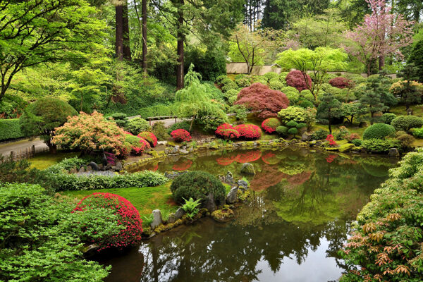 波特兰日本花园图片