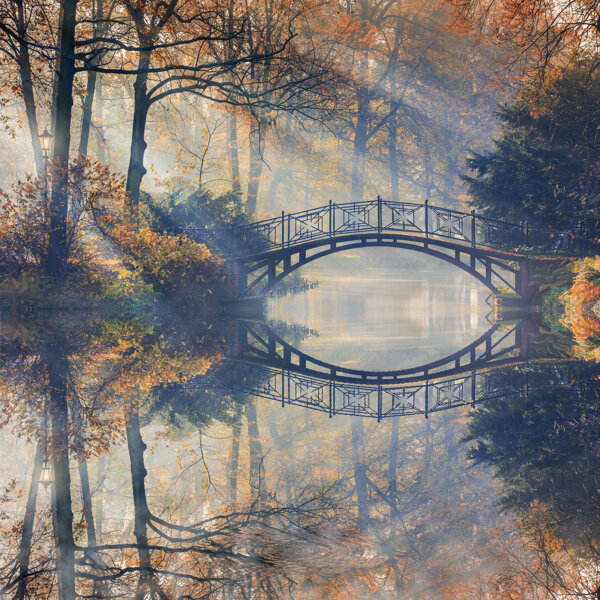 秋天樹(shù)林拱橋風(fēng)景