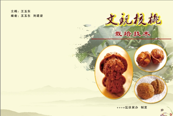 文玩核桃封面
