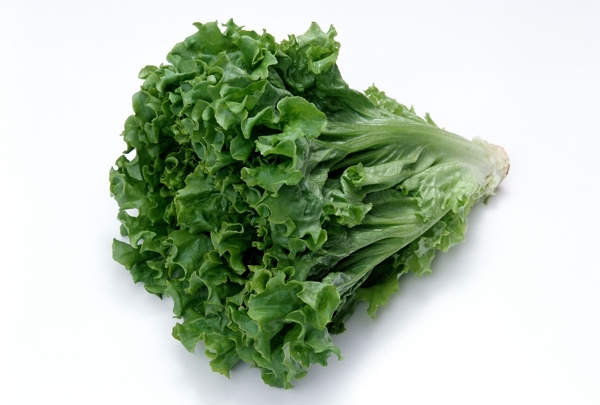 生菜圖片