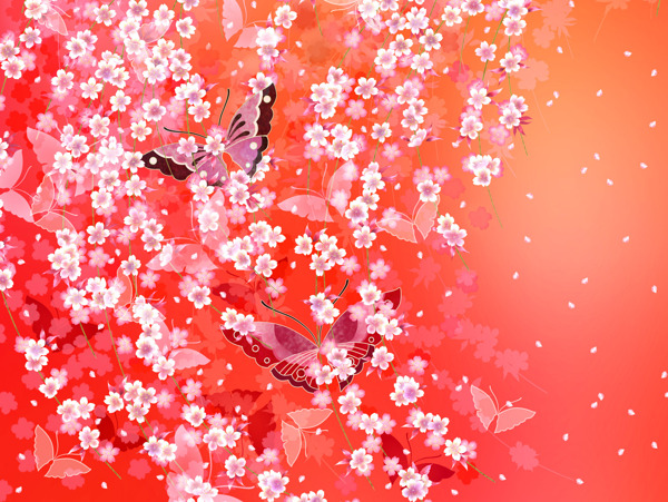 美麗的梨花背景