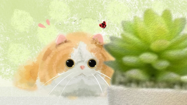 可爱卡通猫咪小猫宠物动物绿植多肉