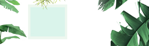 清新綠色樹葉banner背景素材