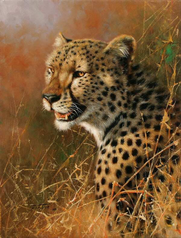 动物油画非洲豹图片