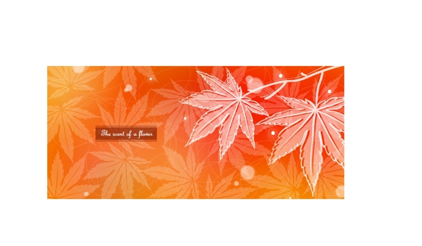 柔美花卉背景矢量素材