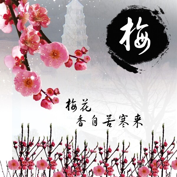 梅花香自苦寒來