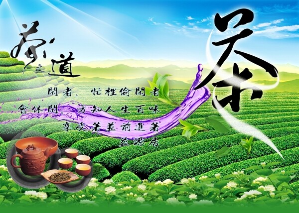 茶山圖片