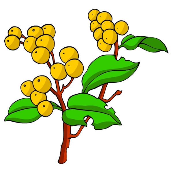 花卉古典插畫