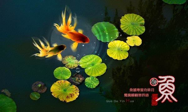 魚(yú)金魚(yú)圖片