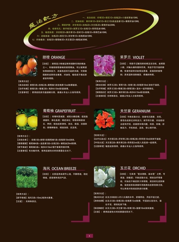 化妝品護膚品畫冊設計圖片