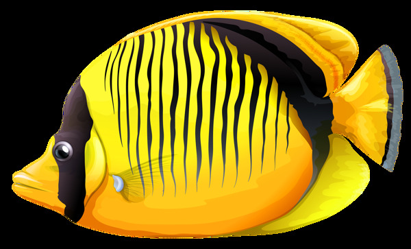 漂亮黄色热带鱼免抠png透明图层素材