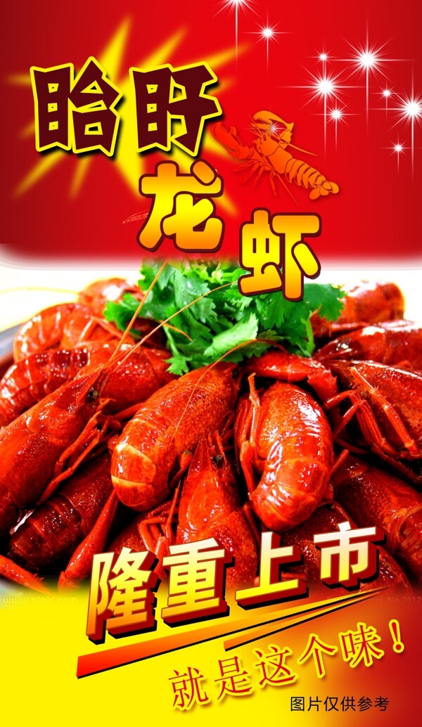 龍蝦圖片