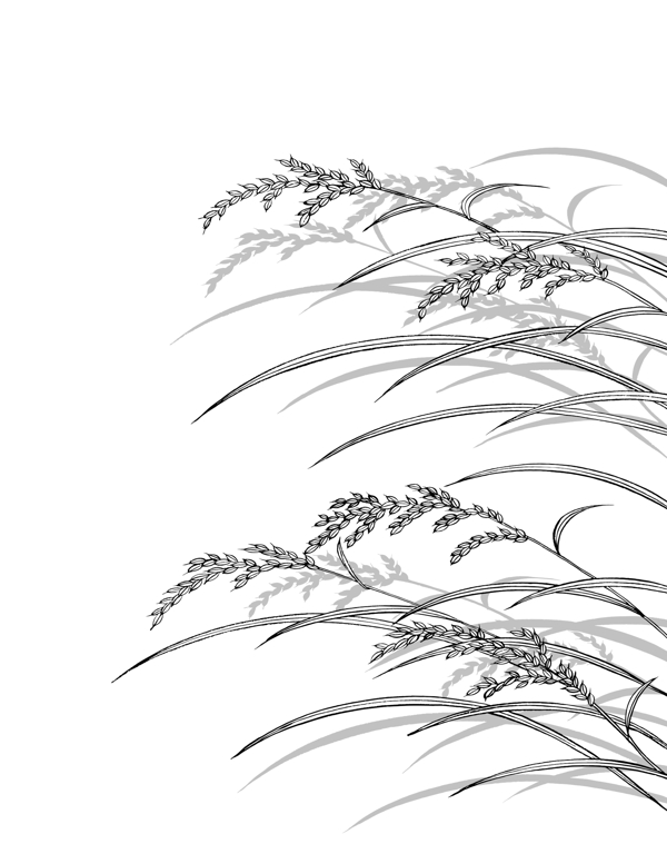 蘆葦玻璃移門大全編號SS050