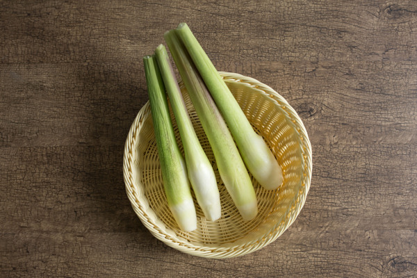 茭白