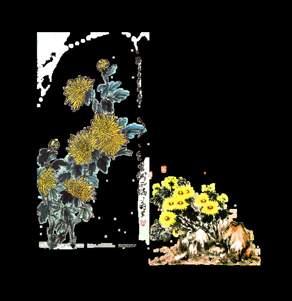 手繪菊花插畫素材
