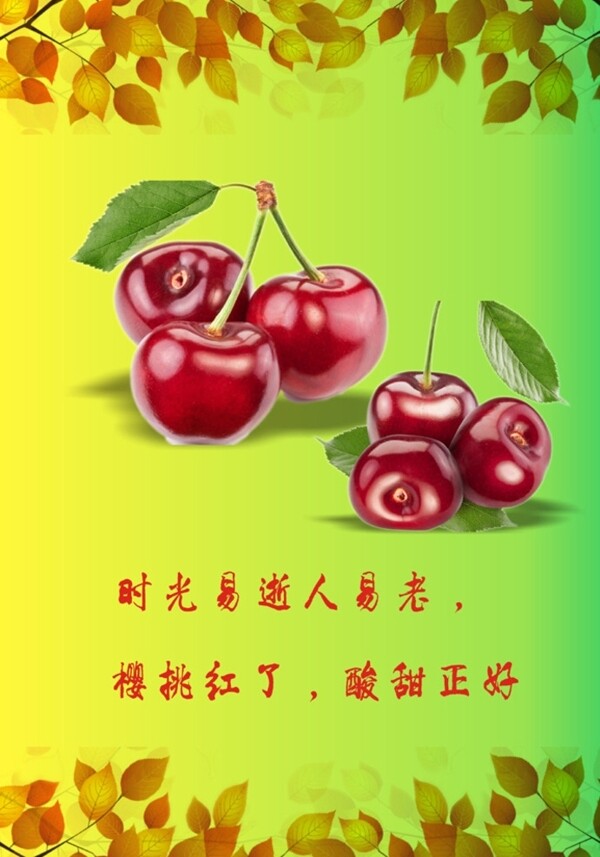 櫻桃海報