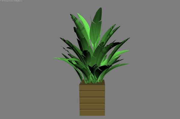 植物模型图片