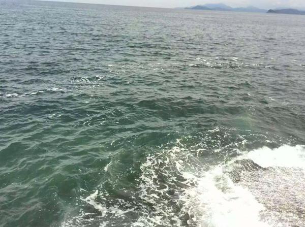 海水