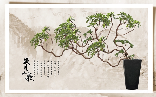 中國風(fēng)