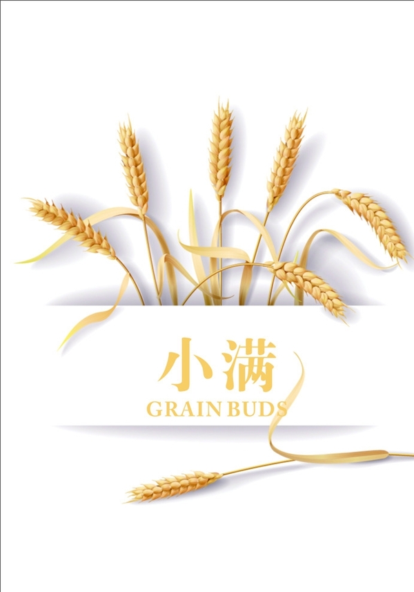小滿(mǎn)