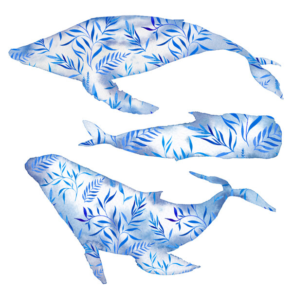 蓝色水彩海豚