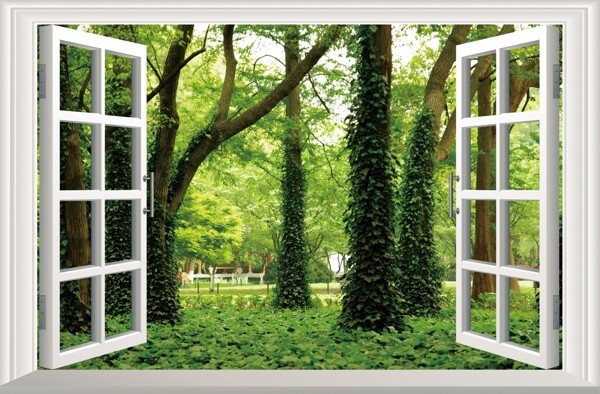 3d窗户树林立体画