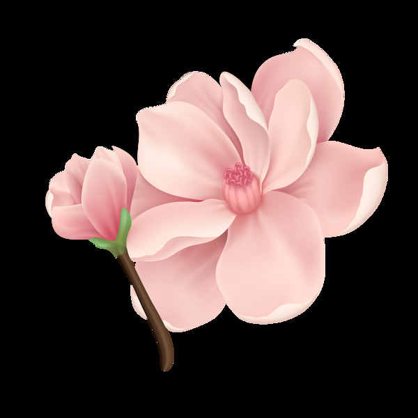 手繪花