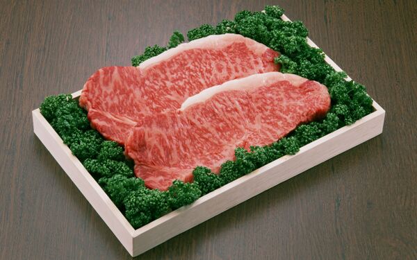 肉片肉块猪肉牛肉生肉