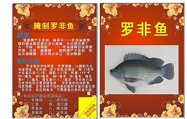羅非魚宣傳單圖片