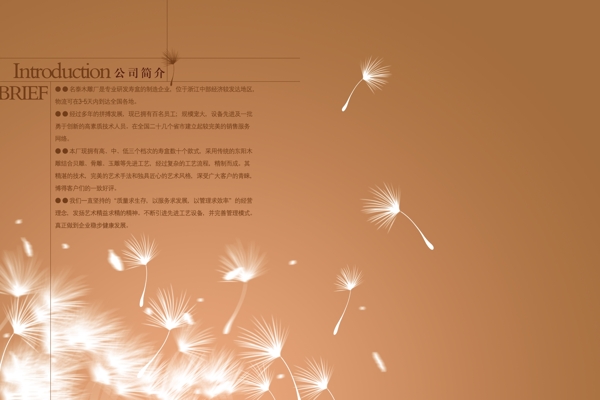 公司簡介