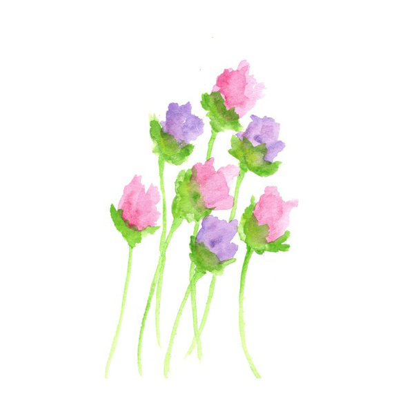 位圖植物寫意花卉花朵野花免費素材