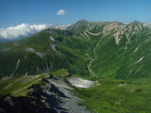 高山青