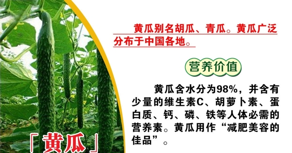 菜品介紹圖片