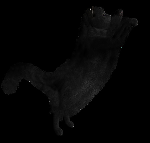 黑色剪影猫图片免抠png透明图层素材