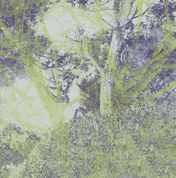位圖休閑風(fēng)植物免費素材