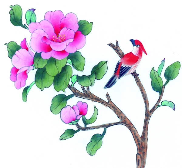 水墨鸟类花卉绘画图片