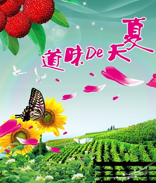 夏天的味道圖片