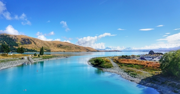特卡波湖新西兰南岛自驾游