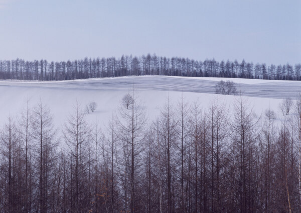 冬天的風(fēng)景