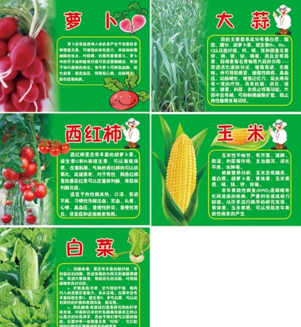蔬菜种植园图片