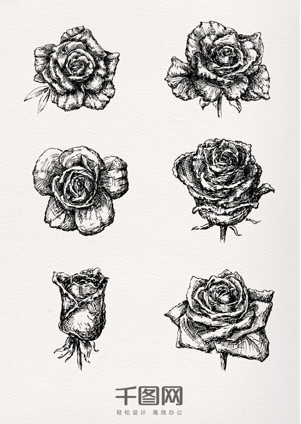 手绘素描立体玫瑰花