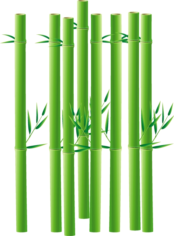 竹圖片