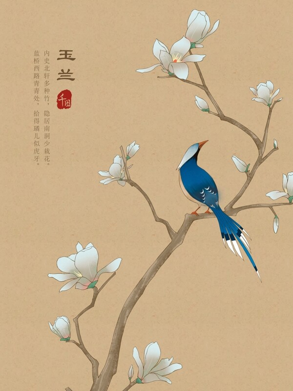 原創(chuàng)插畫工筆畫國風(fēng)玉蘭