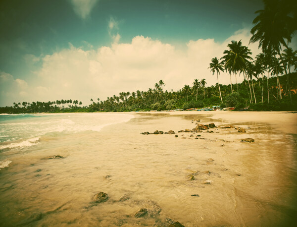 美丽沙滩椰树风景图片