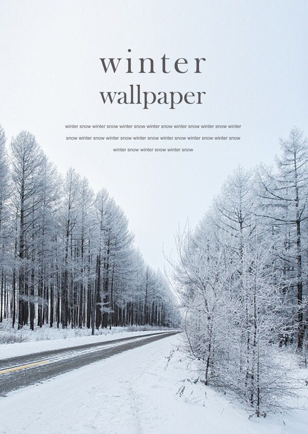 简略时尚创意的冬季雪景海报