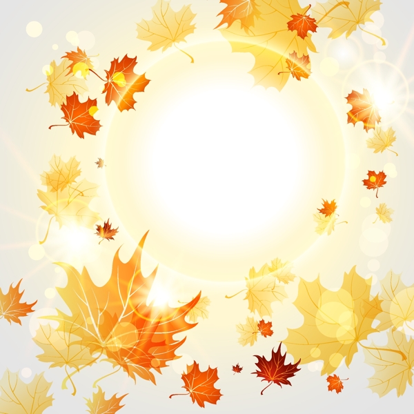 明亮的秋天的树叶矢量背景09