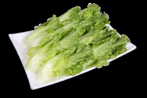 生菜
