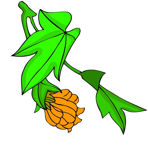 花卉古典插畫